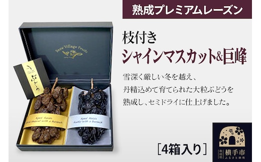 熟成プレミアムレーズン 枝付きプレミアムセット（シャインマスカット＆巨峰） 4箱セット