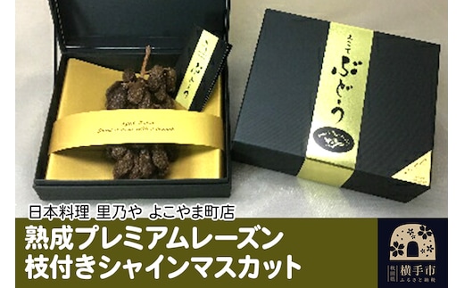 熟成プレミアムレーズン 枝付きシャインマスカット