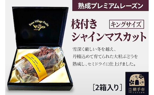 熟成プレミアムレーズン 枝付きシャインマスカット キングサイズ 2箱セット