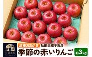 10月上旬より発送 季節の赤いりんご 約3kg（早生ふじ(やたか)、シナノスイート、早生ふじ(こまちふじ)、サンふじ）