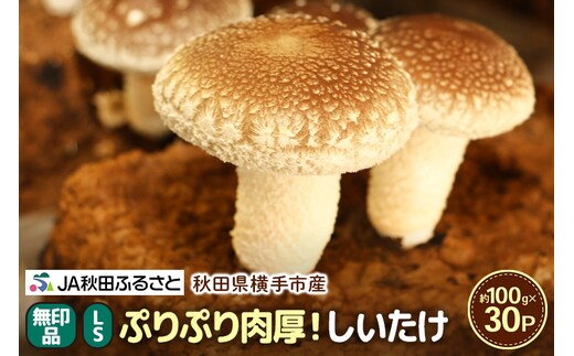 しいたけ 無印品 LS（約100g）×30パック