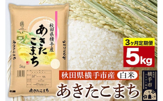 《定期便3ヶ月》【白米】令和7年産 横手市産 あきたこまち 5kg [定期便 秋田県産 あきたこまち 白米 5キロ]