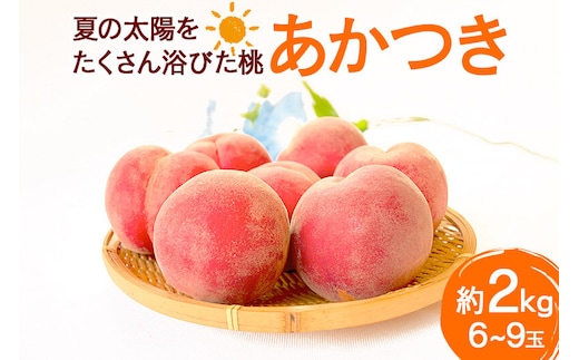 夏の太陽をたくさん浴びた桃 あかつき 約2kg（6～9玉前後） [もも モモ 白桃 はくとう 果物 フルーツ 産地直送 お取り寄せ]