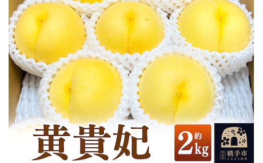 【先行受付】9月上旬より発送 黄貴妃 約2kg（6～9玉前後）モモ もも 黄色桃 [先行予約 もも モモ 黄桃 黄色桃 果物 フルーツ 横手産 秋田産 秋田県産]
