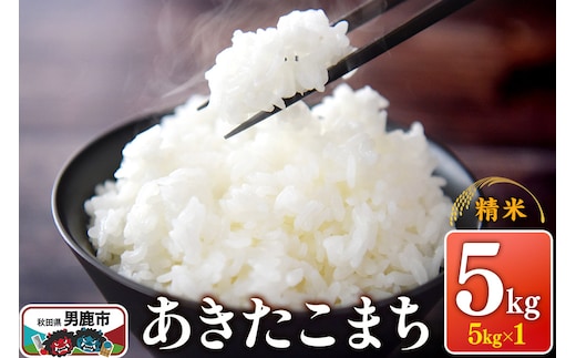 令和7年産 あきたこまち （精米）5kg（5kg×1袋）1回のみお届け スズキファーム