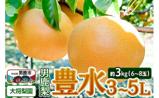 【先行受付】2026年9月中旬～下旬発送 男鹿梨「大将梨園」豊水 約3kg 6～8玉 3～5L 梨 秋田県 男鹿市