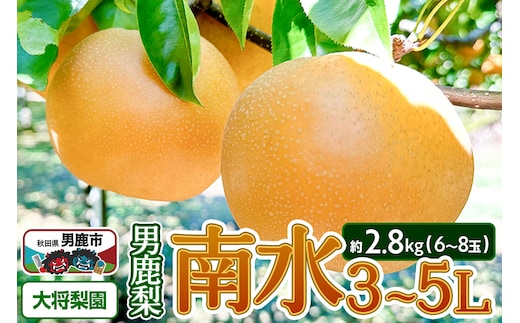 【先行受付】2026年10月上旬～下旬発送 男鹿梨「大将梨園」南水 約2.8kg 6～8玉 3～5L 梨 秋田県 男鹿市
