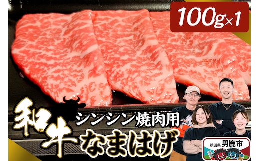 和牛なまはげ シンシン焼肉用 100g 大進農場