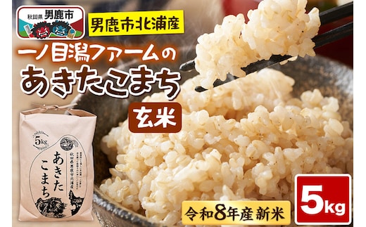 「秋田県男鹿市北浦産」あきたこまち（玄米）5kg （5kg×1） 令和8年産 （新米先行受付） 秋田県 男鹿市 [あきたこまち ブランド米 お米 玄米 米どころ 秋田 秋田県産 男鹿市北浦産]