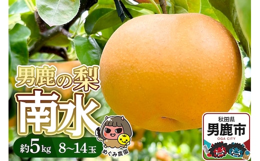 《先行受付》男鹿の梨 南水 約5kg 8～14玉 梨 秋田県 男鹿市 ＜めぐみ農園＞ 2026年9月下旬より発送