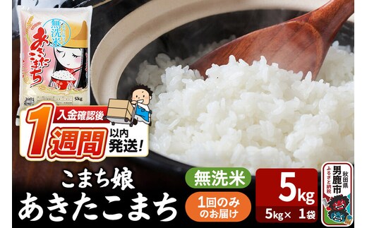 令和8年産新米『こまち娘』あきたこまち 無洗米（5kg×1袋）吉運商店 秋田県 男鹿市 お米 お弁当 おにぎり [新米 米 こめ コメ 無洗米 あきたこまち 秋田県 男鹿市 5kg]