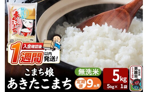 令和8年産新米《定期便9ヶ月》『こまち娘』あきたこまち 無洗米（5kg×1袋） 吉運商店 秋田県 男鹿市 お米 お弁当 おにぎり [新米 米 こめ コメ 無洗米 あきたこまち 秋田県 男鹿市 5kg]