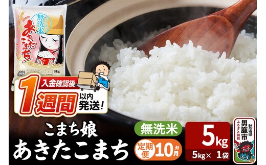令和8年産新米《定期便10ヶ月》『こまち娘』あきたこまち 無洗米（5kg×1袋）吉運商店 秋田県 男鹿市 お米 お弁当 おにぎり [新米 米 こめ コメ 無洗米 あきたこまち 秋田県 男鹿市 5kg]