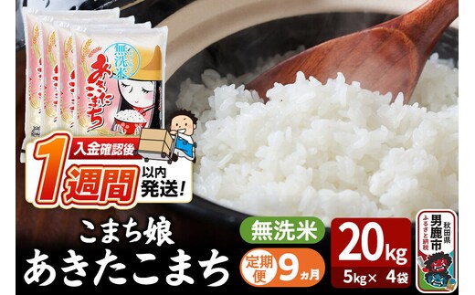 令和8年産新米《定期便9ヶ月》『こまち娘』あきたこまち 無洗米 20kg（5kg×4袋）吉運商店 秋田県 男鹿市 お米 お弁当 おにぎり [新米 米 こめ コメ 無洗米 あきたこまち 秋田県 男鹿市 20kg]