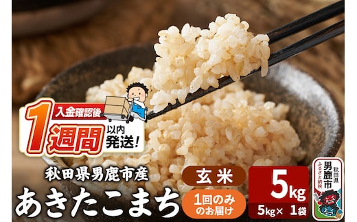 令和8年産新米 あきたこまち 玄米 5kg（5kg×1袋） 吉運商店 秋田県 男鹿市 お米 お弁当 おにぎり [新米 米 こめ コメ 玄米 あきたこまち 秋田県 男鹿市 5kg]