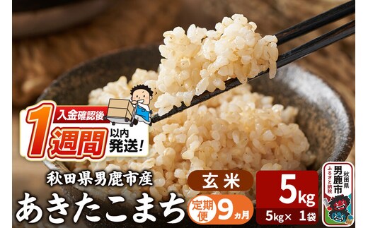 令和8年産新米《定期便9ヶ月》あきたこまち 玄米 5kg（5kg×1袋） 吉運商店 秋田県 男鹿市 お米 お弁当 おにぎり [新米 米 こめ コメ 玄米 あきたこまち 秋田県 男鹿市 5kg]