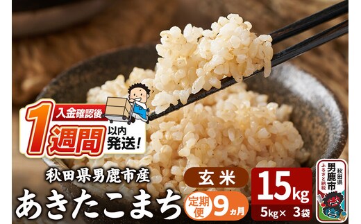 令和8年産新米《定期便9ヶ月》あきたこまち 玄米 15kg（5kg×3袋） 吉運商店 秋田県 男鹿市 お米 お弁当 おにぎり [新米 米 こめ コメ 玄米 あきたこまち 秋田県 男鹿市 15kg]