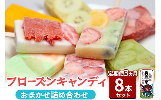 【定期便3ヶ月】フローズンキャンディ おまかせ詰め合わせ 8本セット（3ヶ月連続発送）合計24本 ゴンタロー