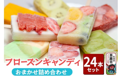フローズンキャンディ おまかせ詰め合わせ 24本セット ゴンタロー