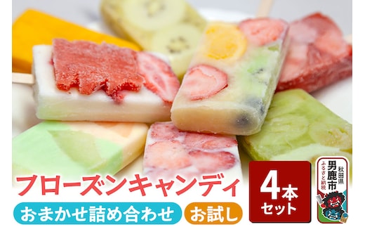 フローズンキャンディ おまかせ 4本 お試しセット ゴンタロー 秋田県 男鹿市 ゴンタロー