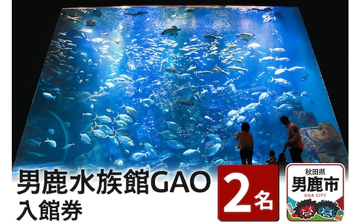 男鹿水族館GAOペア入館券 2名分 秋田県 ガオ 日本海 ペア