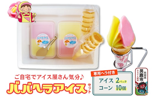 ババヘラ・アイスセット [タッパアイス2パック（1,000ml×2）、コーン10個、専用ヘラ1個]【進藤冷菓】ご当地アイス