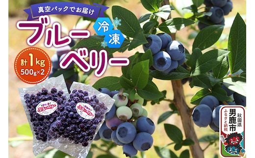 【男鹿ぶるーべりーガーデン】 冷凍ブルーベリー 500g×2パック（合計1kg）秋田県 男鹿市