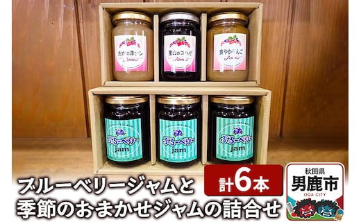 ブルーベリージャムと季節のおまかせジャムの詰合せ（合計6本）男鹿ぶるーべりーガーデン 秋田県 男鹿市