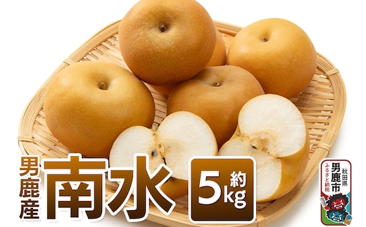 【令和8年度 早期受付】 南水 約5kg 10月中旬～11月中旬発送 梨 旬の果物 ギフト 秋田県 男鹿市 男鹿ファーム直売所