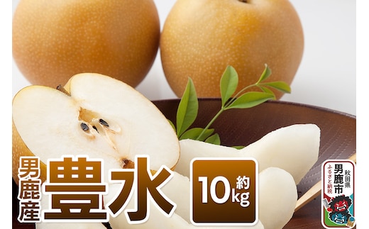 【令和8年度 早期受付】豊水 約10kg 9月中旬～10月上旬発送 梨 旬の果物 ギフト 秋田県 男鹿市 男鹿ファーム直売所