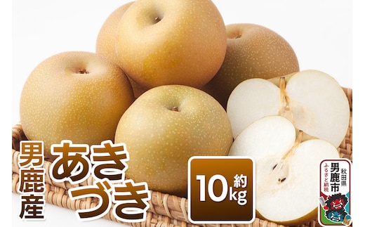 【令和8年度 早期受付】あきづき 約10kg 9月下旬～10月中旬発送 梨 旬の果物 ギフト 秋田県 男鹿市 男鹿ファーム直売所