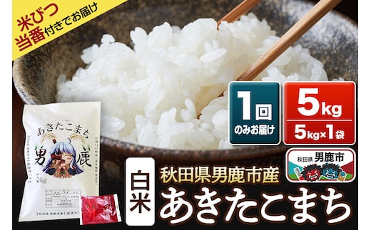 《令和7年産》あきたこまち 精米 5kg 秋田県 男鹿市産 吉元耕業 おにぎり お弁当 [あきたこまち ブランド米 お米 白米 精米 米どころ 秋田 男鹿市 秋田県産]
