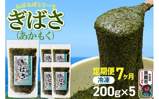 【定期便7ヶ月】ぎばさ(あかもく) 200g×5個セット 海藻 男鹿市 秋田県 [ぎばさ あかもく 海藻 磯の香り 強い粘り フコイダン フコキサンチン 高栄養価 食物繊維 シャキシャキ食感 秋田県 男鹿市]