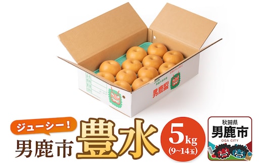 【令和8年度 早期受付】豊水 5kg 9～14玉 梨 なし ナシ 秋田県 男鹿市 旬の果物 フルーツ
