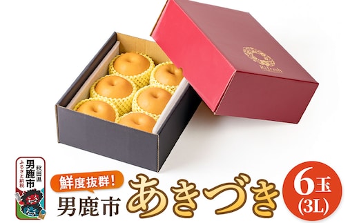 【令和8年度 早期受付】あきづき 梨 6玉 3L 梨 なし ナシ 秋田県 男鹿市 旬の果物 フルーツ