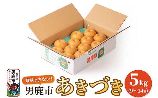 【令和8年度 早期受付】あきづき 5kg 9～14玉 梨 なし ナシ 秋田県 男鹿市 旬の果物 フルーツ