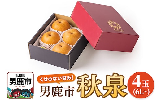 【令和8年度 早期受付】秋泉 梨 4玉 6L～ 梨 なし ナシ 秋田県 男鹿市 旬の果物 フルーツ