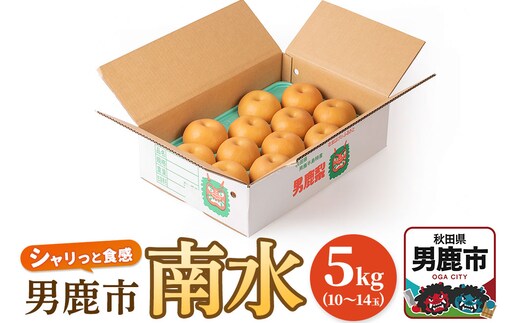 【令和8年度 早期受付】南水 5kg 10玉～14玉 梨 なし ナシ 秋田県 男鹿市 旬の果物 フルーツ