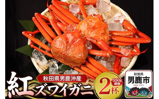 男鹿沖産紅ズワイガニ 550g 前後×2杯 男鹿なび 蟹 カニ 国産 秋田 ずわい蟹 ずわいガニ