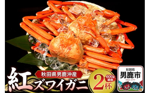 男鹿沖産紅ズワイガニ 600g 前後×2杯 男鹿なび 蟹 カニ 国産 秋田 ずわい蟹 ずわいガニ