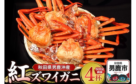 男鹿沖産紅ズワイガニ 600g 前後×4杯 男鹿なび 蟹 カニ 国産 秋田 ずわい蟹 ずわいガニ
