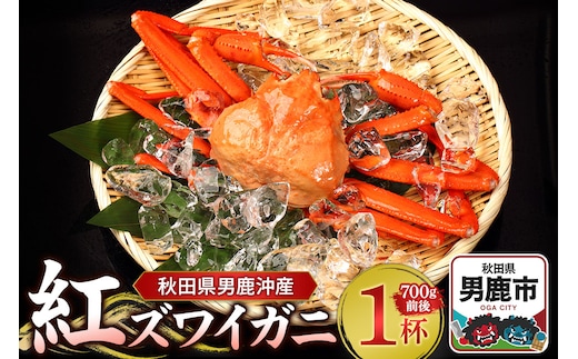 男鹿沖産紅ズワイガニ 700g 前後×1杯 男鹿なび 蟹 カニ 国産 秋田 ずわい蟹 ずわいガニ