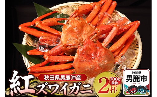 男鹿沖産紅ズワイガニ 700g 前後×2杯 男鹿なび 蟹 カニ 国産 秋田 ずわい蟹 ずわいガニ