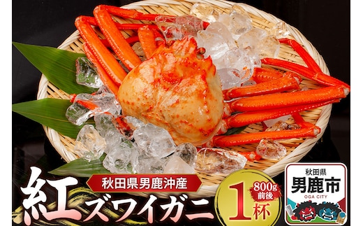 男鹿沖産紅ズワイガニ 800g 前後×1杯 男鹿なび 蟹 カニ 国産 秋田 ずわい蟹 ずわいガニ