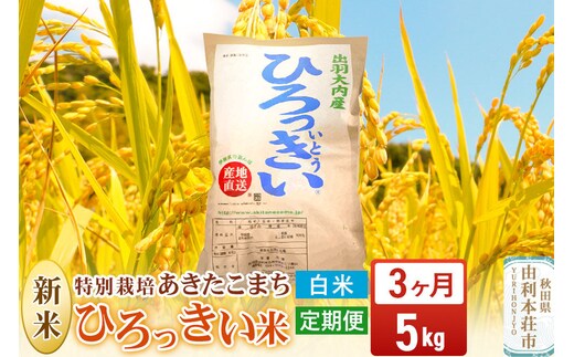 《令和8年産 新米》《定期便3ヶ月》【白米】あきたこまち 5kg 秋田県産 特別栽培米 ひろっきい米 [新米 あきたこまち 米 白米 精米 お米 おこめ ブランド米 食卓 おにぎり 秋田県産 秋田県 由利本荘市]
