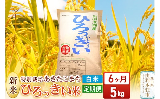 《令和8年産 新米》《定期便6ヶ月》【白米】あきたこまち 5kg 秋田県産 特別栽培米 ひろっきい米 [新米 あきたこまち 米 白米 精米 お米 おこめ ブランド米 食卓 おにぎり 秋田県産 秋田県 由利本荘市]