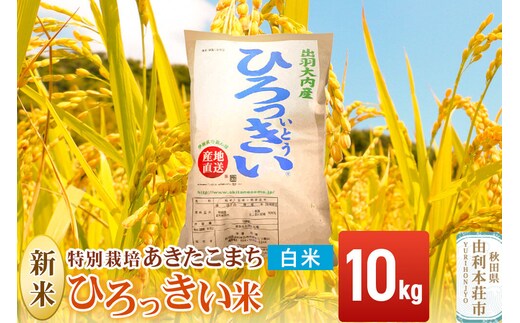 《令和8年産 新米》【白米】あきたこまち 10kg 秋田県産 特別栽培米 ひろっきい米 [新米 あきたこまち 米 白米 精米 お米 おこめ ブランド米 食卓 おにぎり 秋田県産 秋田県 由利本荘市]
