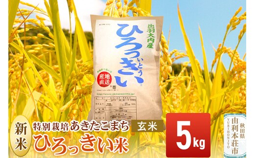 《令和8年産 新米》【玄米】あきたこまち 5kg 秋田県産 特別栽培米 ひろっきい米 [新米 あきたこまち 米 玄米 お米 おこめ ブランド米 食卓 おにぎり 秋田県産 秋田県 由利本荘市]
