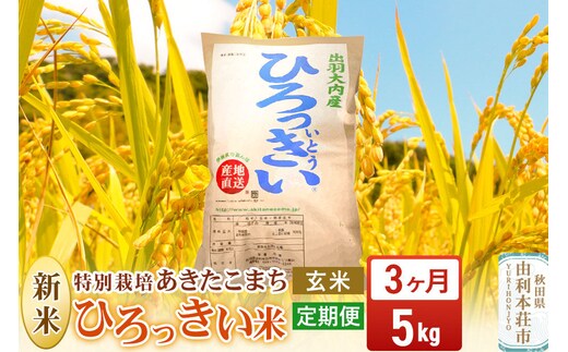 《令和8年産 新米》《定期便3ヶ月》【玄米】あきたこまち 5kg 秋田県産 特別栽培米 ひろっきい米 [新米 あきたこまち 米 玄米 お米 おこめ ブランド米 食卓 おにぎり 秋田県産 秋田県 由利本荘市]