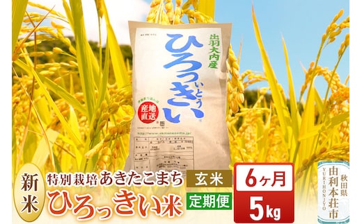 《令和8年産 新米》《定期便6ヶ月》【玄米】あきたこまち 5kg 秋田県産 特別栽培米 ひろっきい米 [新米 あきたこまち 米 玄米 お米 おこめ ブランド米 食卓 おにぎり 秋田県産 秋田県 由利本荘市]